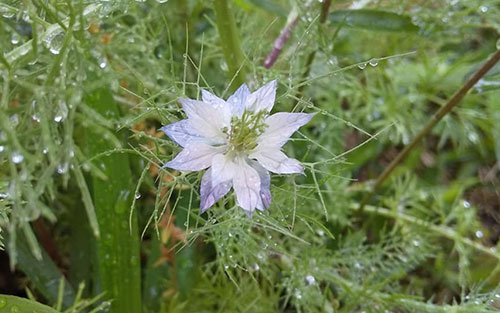 占い師奏のお気に入り写真1